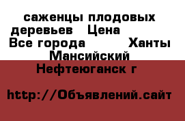 саженцы плодовых деревьев › Цена ­ 6 080 - Все города  »    . Ханты-Мансийский,Нефтеюганск г.